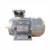 Motor điện chân đế Enertech ESS