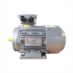 Motor điện chân đế Enertech ESS
