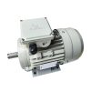 Motor điện chân đế ESA