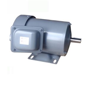Motor điện chân đế Hitachi TFO