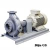 Bơm chữa cháy Ebara GS