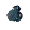 Motor điện chân đế Toshiba 2P