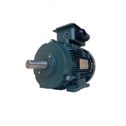 Motor điện chân đế Toshiba 2P