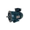Motor chân đế - mặt bích Toshiba 2P