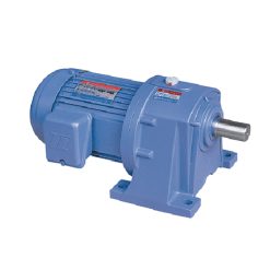 Motor giảm tốc Tunglee chân đế PL