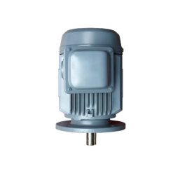 Motor mặt bích Hitachi từ 2HP- 100HP