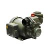 Máy bơm bánh răng đẩy cao NTP HCP 220V