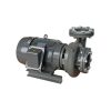 máy bơm ly tâm trục ngang đầu gang Evergush CP 380V