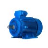 motor chân đế TMX 2Pole 380V