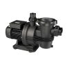 máy bơm hồ bơi Davey M Typhoon C 220V