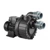 máy bơm tạo dòng hồ bơi Davey M7402 2300W 220V
