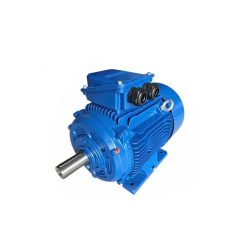 Motor chân đế Motology 3 Pha