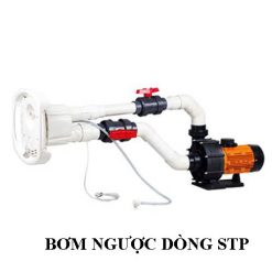 ĐẦU BƠI NGƯỢC DÒNG