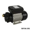 máy bơm dầu nhớt Fusetti MVB-25E 750W 220V