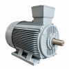 Motor chân đế Winston IE2