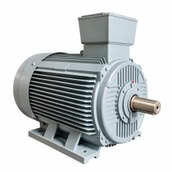 Motor chân đế Winston IE2